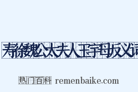 寿徐魏公太夫人玉宇母反义词是什么意思的图片